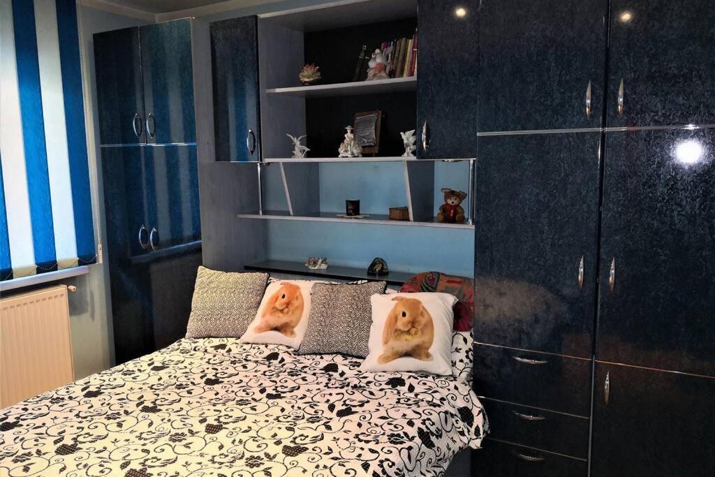 Home Away From Home Petrila エクステリア 写真